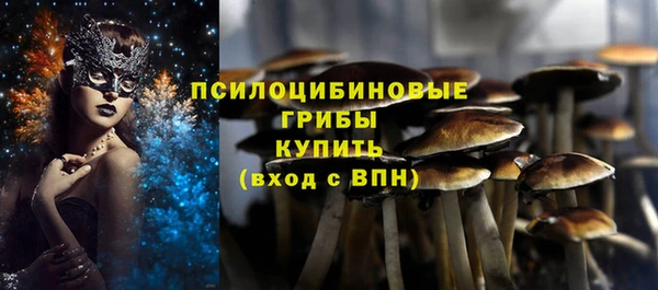 твердый Алексеевка