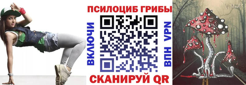 Галлюциногенные грибы Psilocybe сколько стоит Шуя